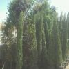 IMG-20120628-WA0003
