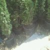 IMG-20120628-WA0004