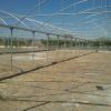 IMG-20120628-WA0009