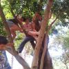 bando perequazione 115 20130102 1365902613