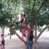 bando perequazione 116 20130102 2047930385
