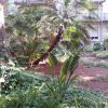 bando perequazione 119 20130102 2050476690