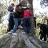 bando perequazione 12 20130102 2091556943